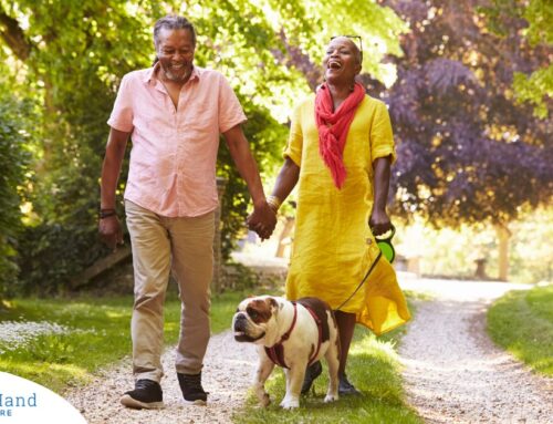 Sunshine and Smiles: Creating Joyful Moments with Spring Activities for Seniors